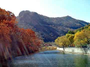 新澳天天开奖资料大全旅游团，马棚垫